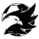 Toronto Falcons